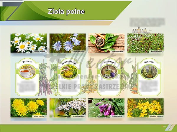 TE1-86 - Zioła polne.jpg