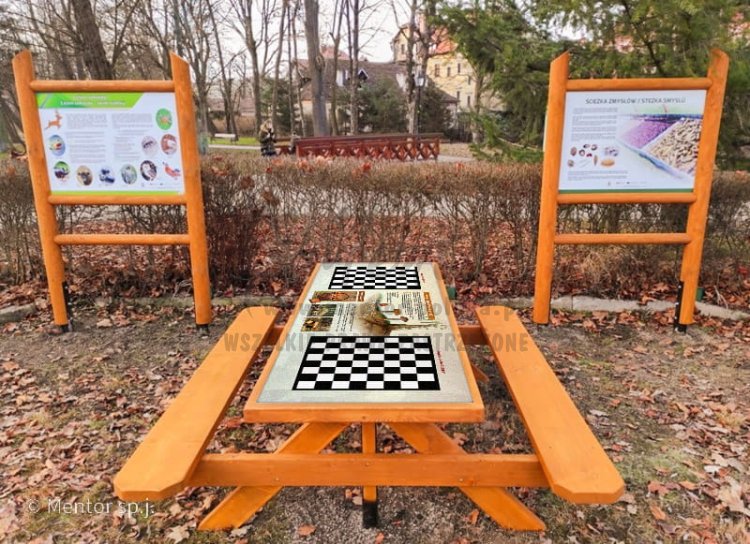 ALI - Ławostół z grą edukacyjną (wariant ekonomiczny), realizacja, tematyka: Mikoszachy