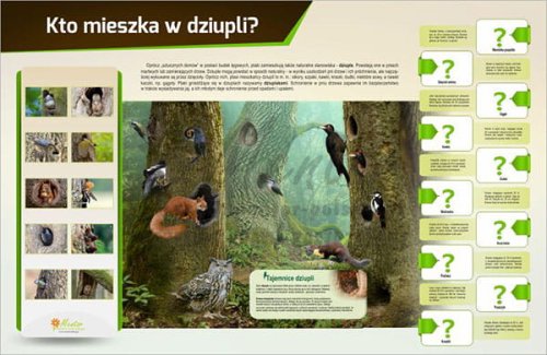 kto mieszka w dziupli.jpg