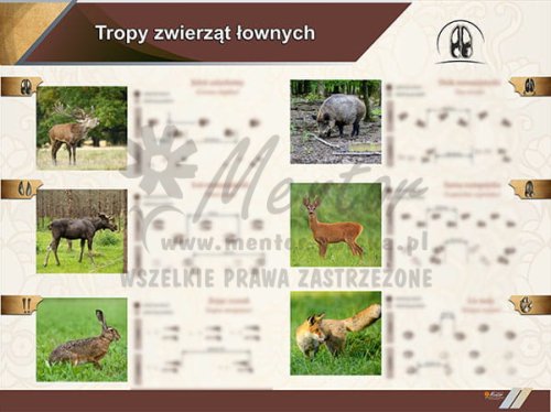 TE2-75 Tropy zwierząt łownych.jpg