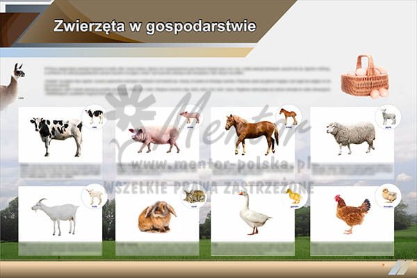 TE2-76 Zwierzęta w gospodarstwie