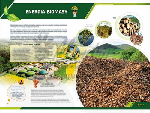 Tablica ekologiczna - Energia biomasy