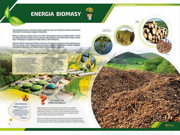 Tablica ekologiczna - Energia biomasy