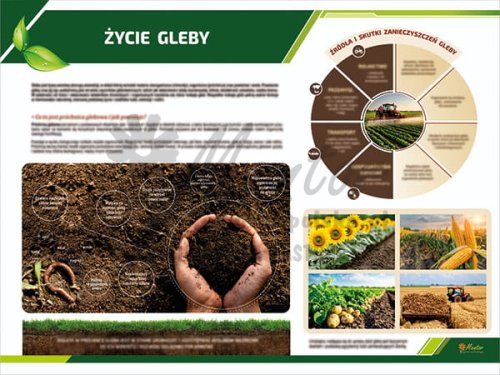 TE3-22 - Życie gleby