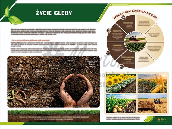 TE3-22 - Życie gleby
