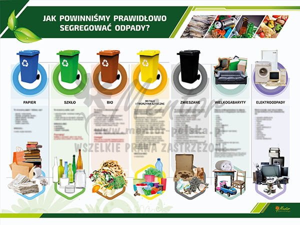TE3-01 - Jak powinniśmy prawidłowo segregować odpady