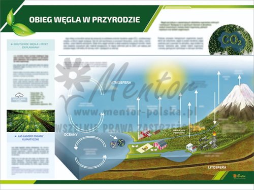 TE3-37 - Obieg węgla w przyrodzie.jpg