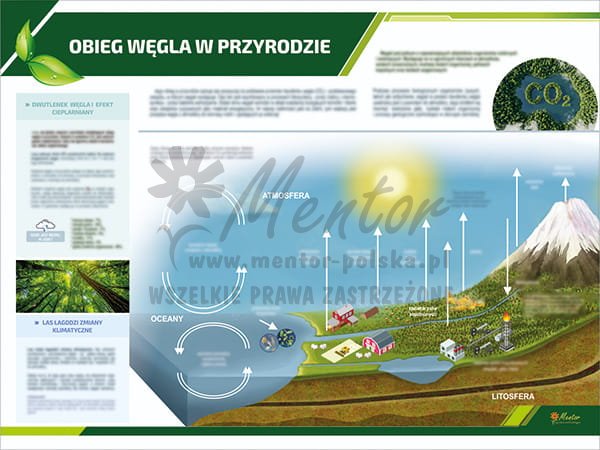 TE3-37 - Obieg węgla w przyrodzie.jpg