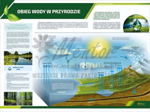 TE3-36 - Obieg wody w przyrodzie.jpg