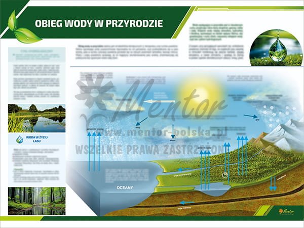 TE3-36 - Obieg wody w przyrodzie.jpg