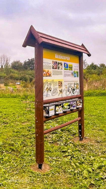 Zdobądź sprawność