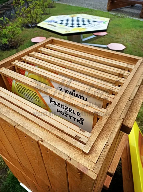 Ul eduakcyjny - zblizenie na wnętrze