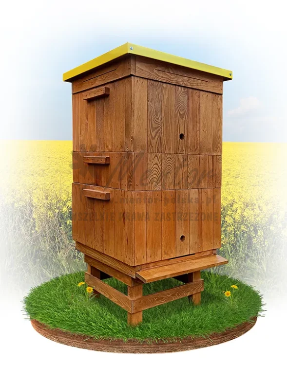 Ul eduakcyjny - wizualizacja