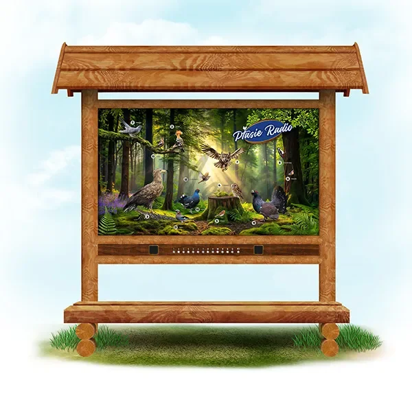 Ptasie radio (dąb z ławką)