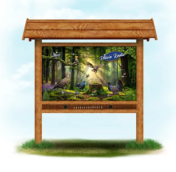 Ptasie radio  (dąb bez ławki)