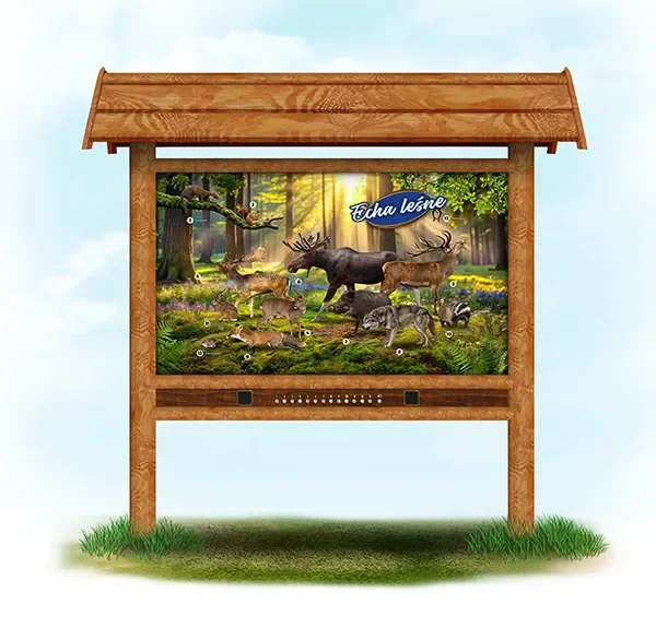 Echa leśne (dąb bez ławki)