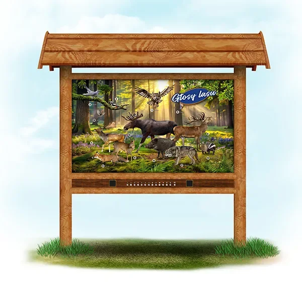 Głosy lasu  (dąb bez ławki)