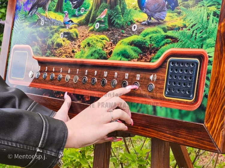 Tablica śpiewająca - ptasie radio - zdjęcie poglądowe