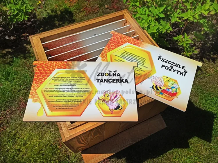 ul edukacyjny jednokorpusowy - tabliczki