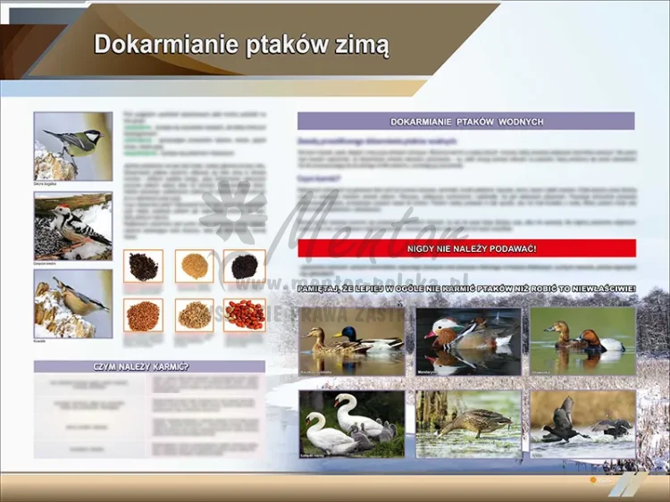 TE2-59 - Dokarmianie ptaków zimą I - POZIOM.webp