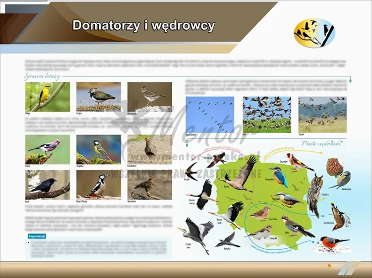 TE2-81 - Domatorzy i wędrowcy