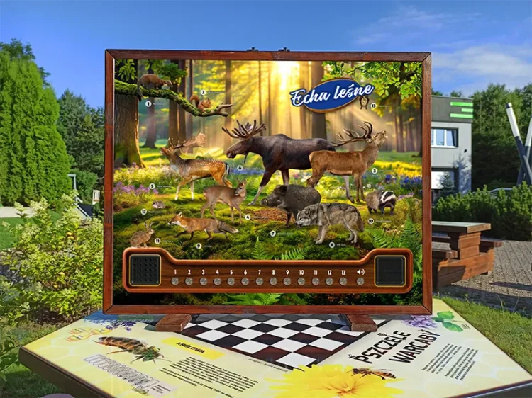 Fotka - Echa leśne - awers