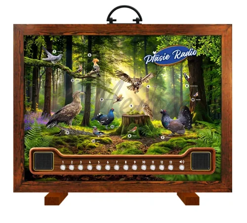 Ptasie radio - awers