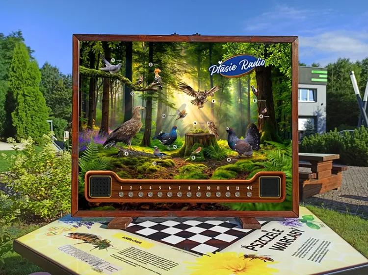 Fotka - Ptasie radio - awers