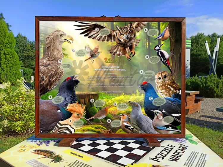 Fotka - Ptasie radio - rewers