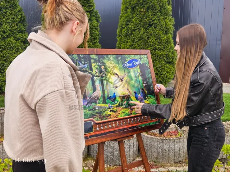 Tablica śpiewająca - ptasie radio - zdjęcie poglądowe