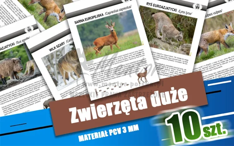 03. Zwierzęta duże