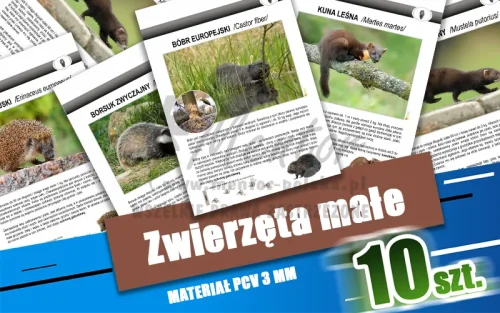 04. Zwierzęta małe