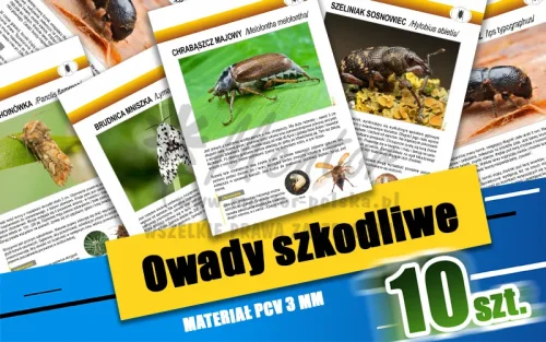 07. Owady szkodliwe