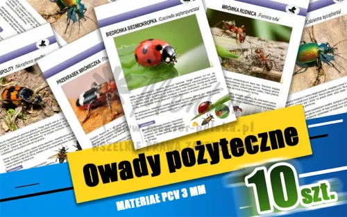 08. Owady pożyteczne