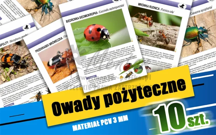 08. Owady pożyteczne