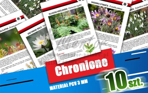 14. Chronione