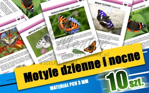 15. Motyle dzienne i nocne