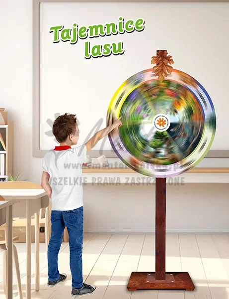 Koła wiedzy - tajemnice lasu