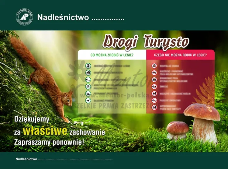RE14 - Co można robić w lesie.webp