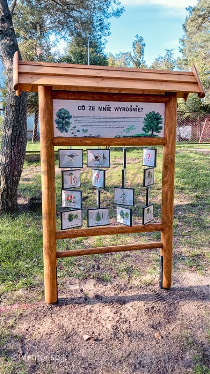 Pamięciówka co ze mnie wyrośnie