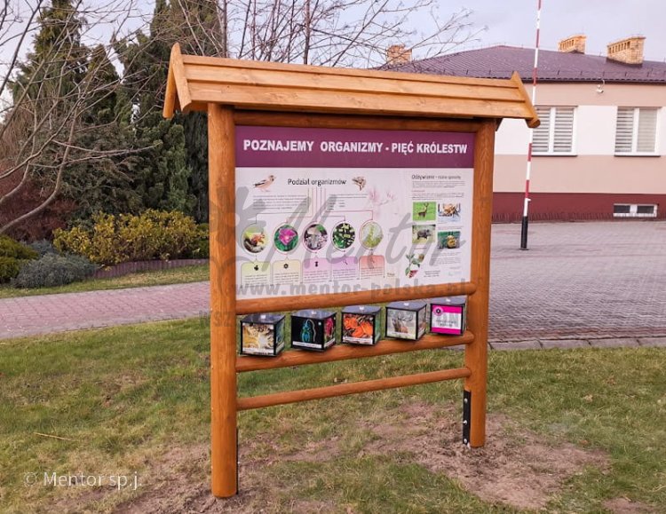 Zdobądź Sprawność