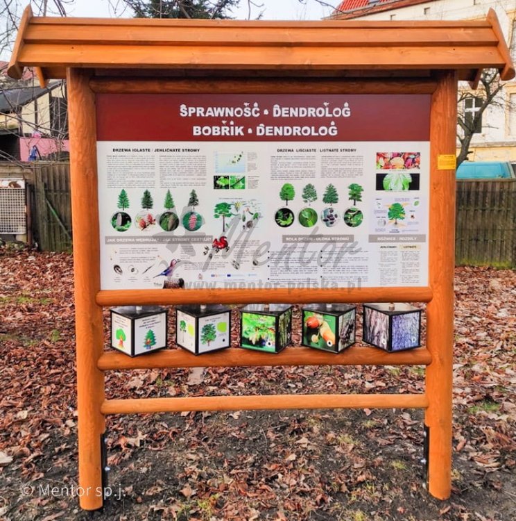 Zdobądz Sprawność