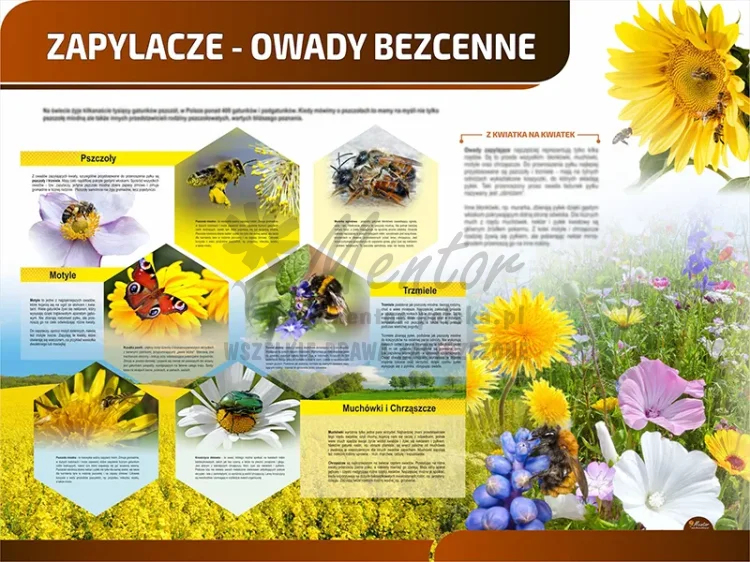 TP09 - Zapylacze - owady bezcenne