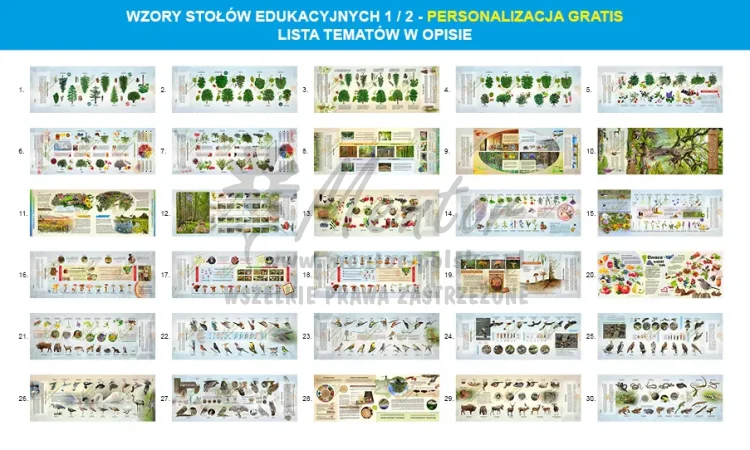 Ławostoły - wizualizacja 1/2