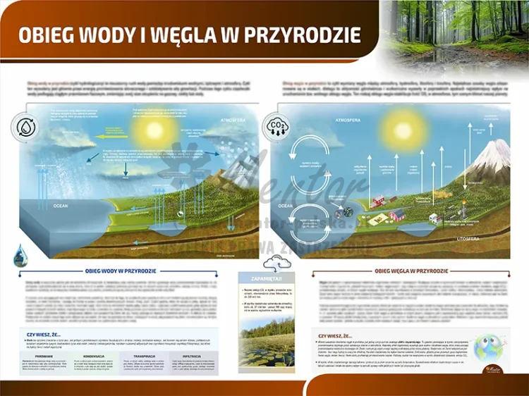 TP16 - Obieg wody i węgla w przyrodzie