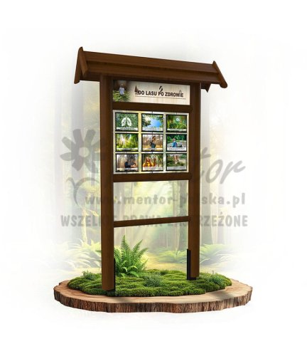 Seria poznawcza - Do lasu po zdrowie_brąz