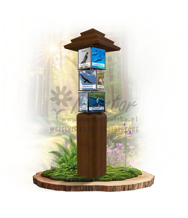 SWI11 - Rekordy sportowe_braz.jpg