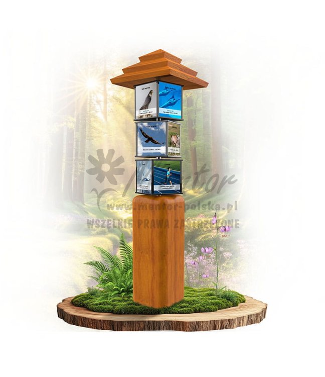 SWI11 - Rekordy sportowe_dab.jpg