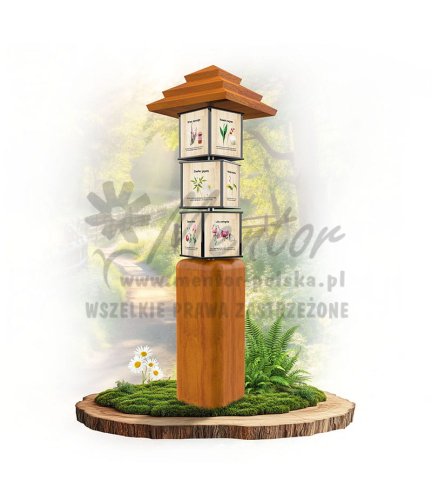 SWI24 - Rośliny runa_dab.jpg