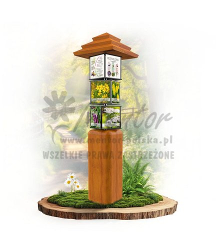 SWI54 - Zioła łąkowe_dab.jpg